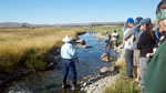 River Restoration and Natural Channel Design